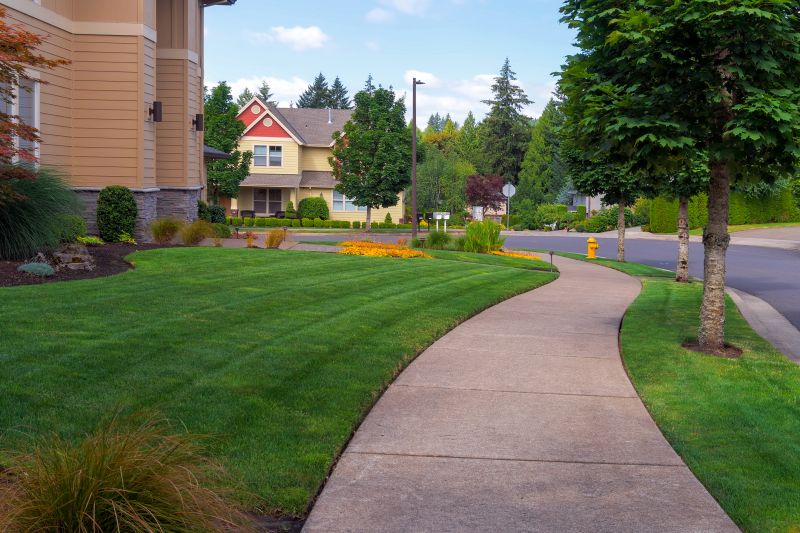 Driveway And Walkway Service