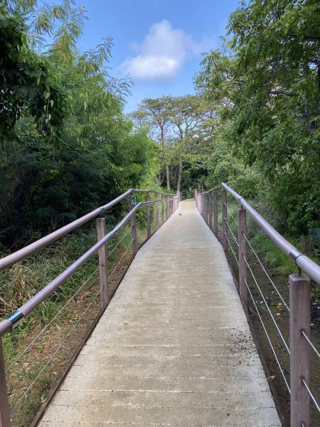 Footpath Construction in Johnstown